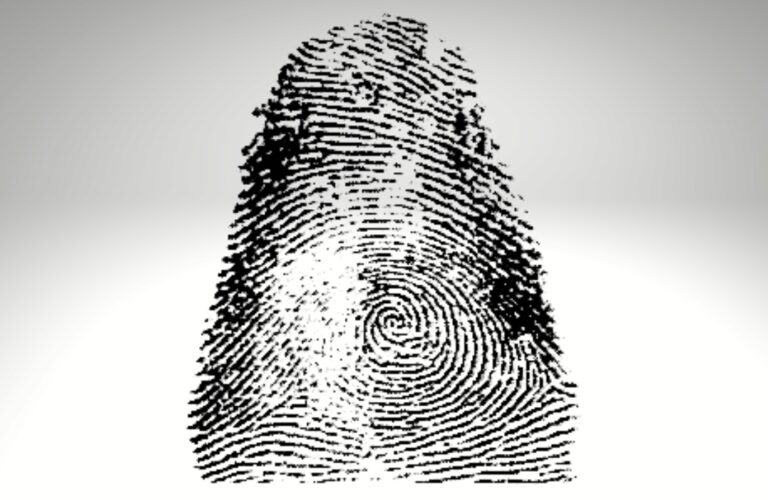 Finger Print