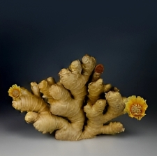 A close-up shot of fresh ginger root on a rustic wooden table.